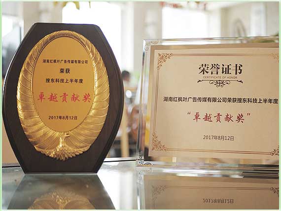 卓越貢獻(xiàn)獎(jiǎng) (2).jpg 卓越貢獻(xiàn)獎(jiǎng) (2).jpg