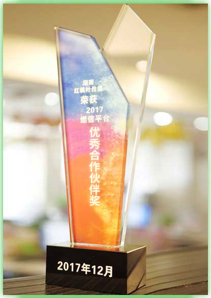優(yōu)秀合作伙伴獎(jiǎng) (4).JPG
